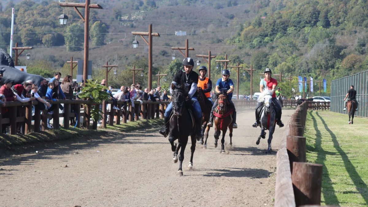 Ordu'da Cumhuriyet Kupası Rahvan At Yarışları düzenlendi