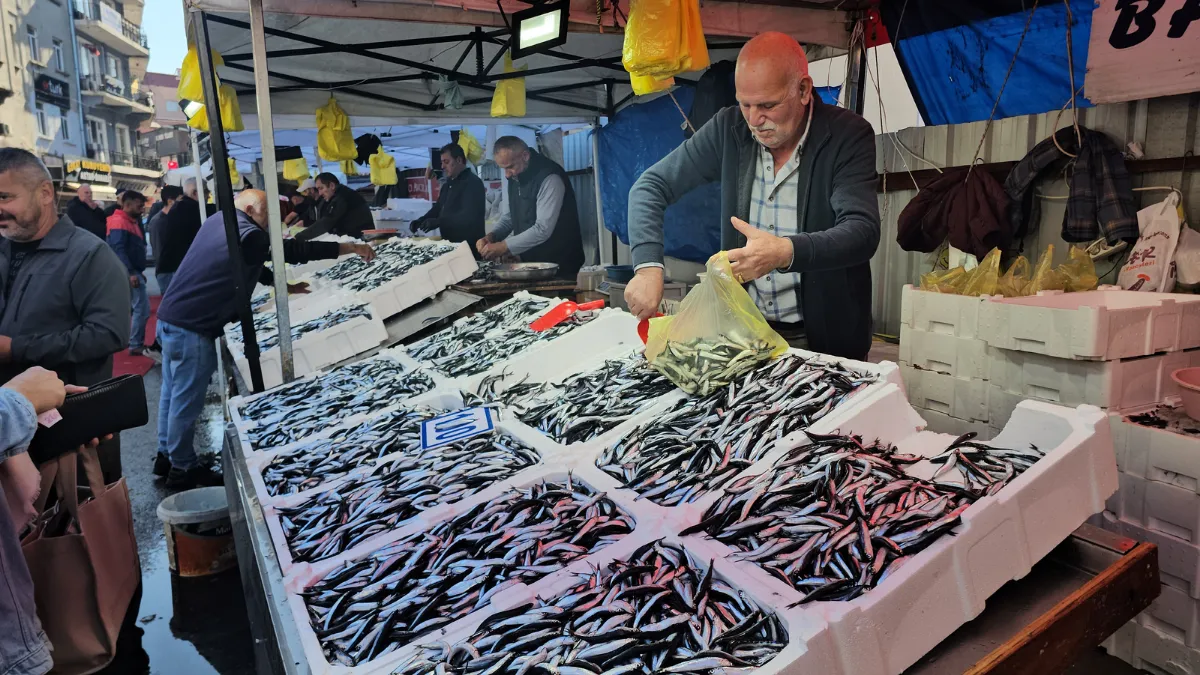 Zonguldak’ta hamsinin kilosu 70 liraya düştü
