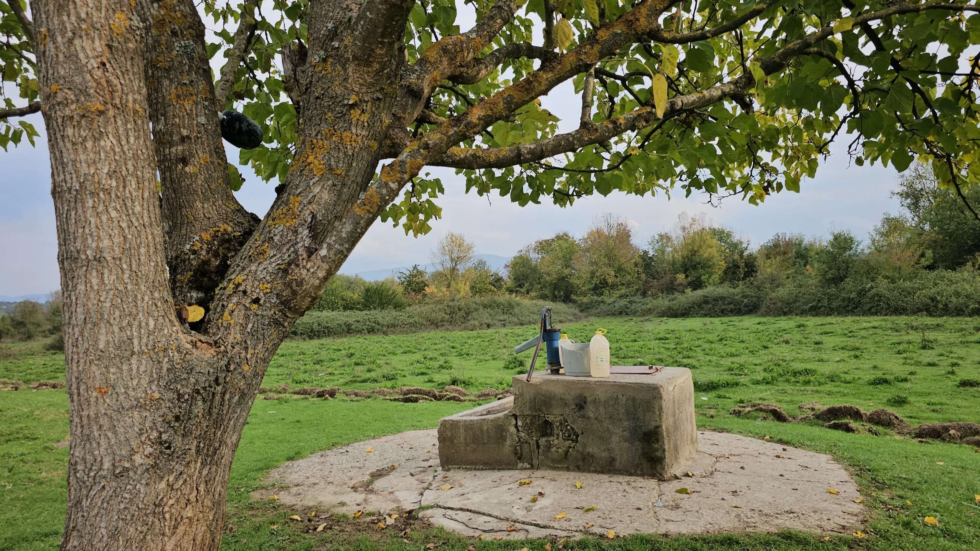 Katili suçunu itiraf etti, tartıştığı 17 yaşındaki Hasret'i boğup kuyuya atmış