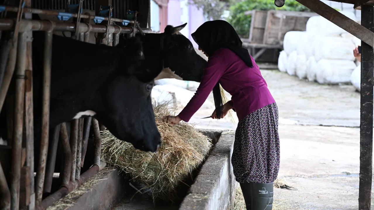 Kadın girişimci devlet desteğiyle kurduğu çiftlikle hedef büyüttü