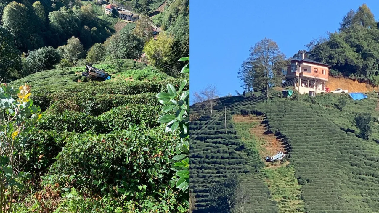 Rize'de kontrolden çıkan araç çay bahçesine yuvarlandı