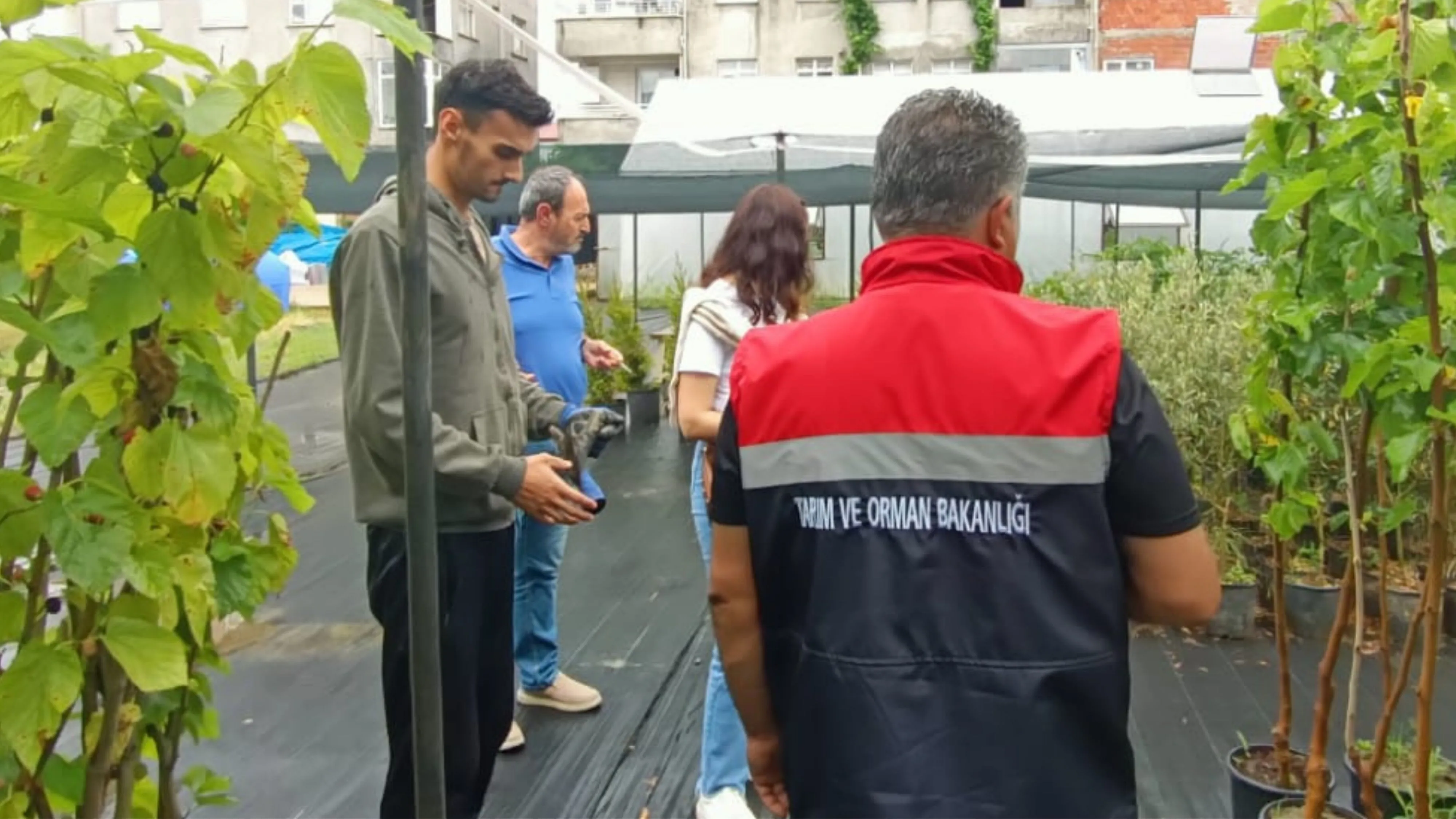 Rize'de tarım danışmanlarına yönelik denetlemeler yapıldı