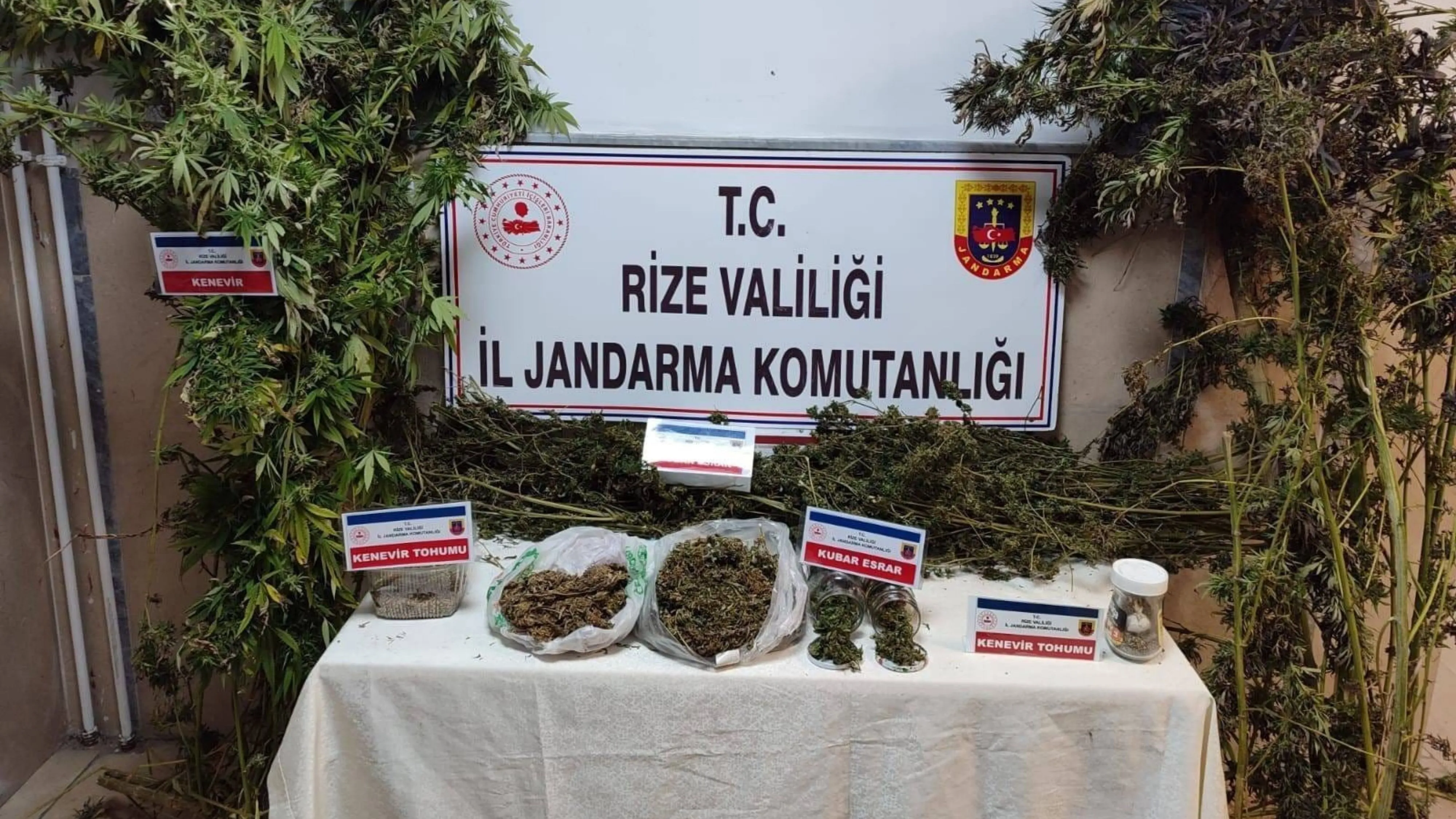 Çayeli’nde jandarmadan uyuşturucu operasyonu: 2 kilo esrar ele geçirildi