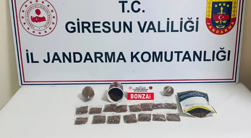Giresun'da uyuşturucu operasyonu