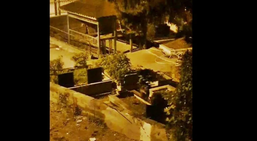 Zonguldak’ta mezarlıkta iki ayı yavrusu görüldü