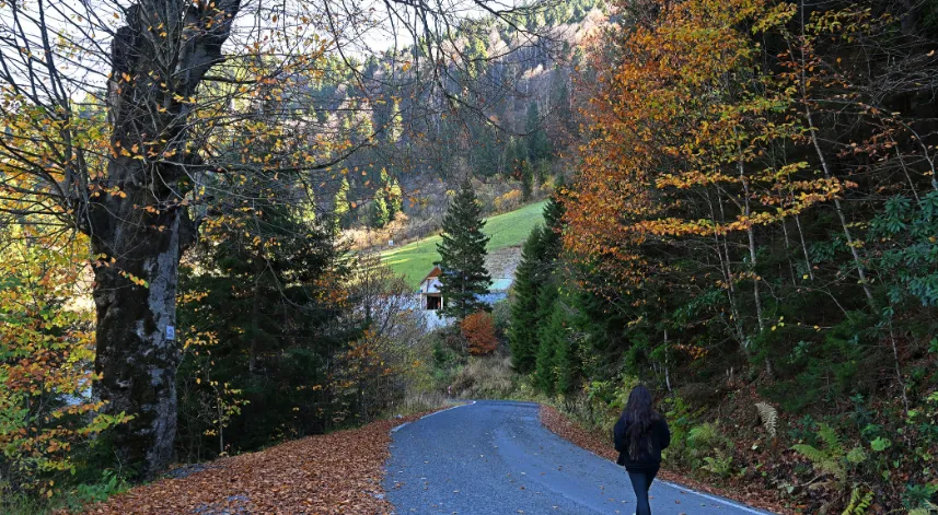 Dağların eteğindeki Hamsiköy oyuk ağaçlarıyla fotoğraf tutkunlarına alternatif sunuyor