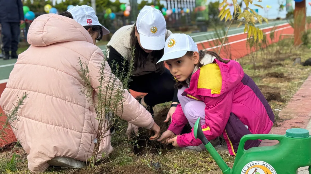 Rize’de Yılda 500 Bin Fidan Toprakla Buluşuyor
