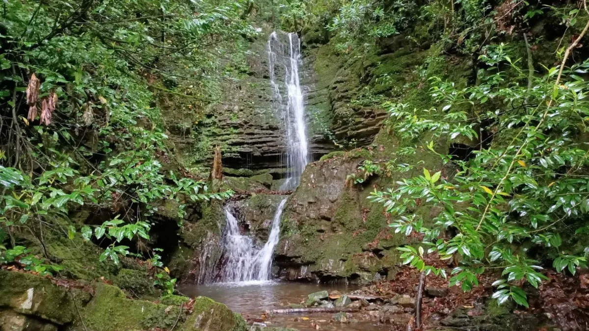 Kastamonu Güney Karadeniz Jeoparkı için resmi başvuru yapıldı