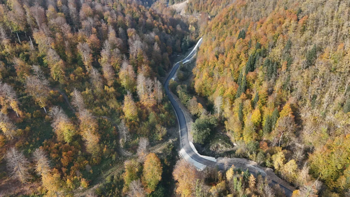 Sinop'ta sonbahar renkleri görsel şölen sunuyor