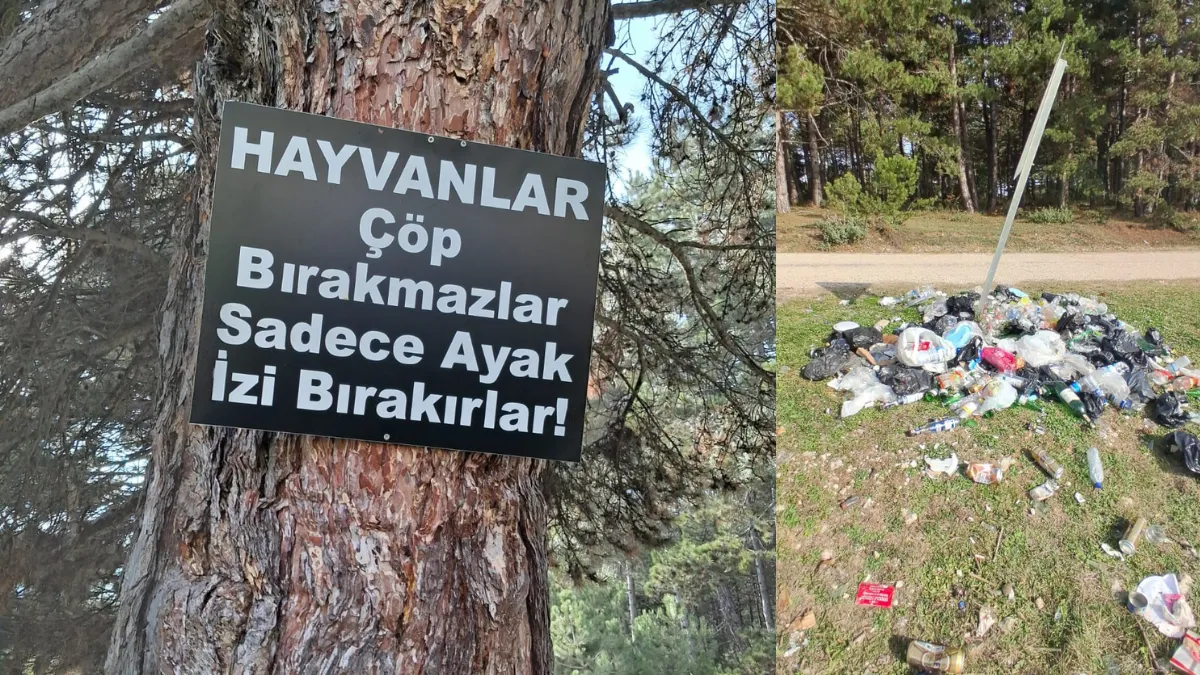 Ormanlık alanda çöp yığınları
