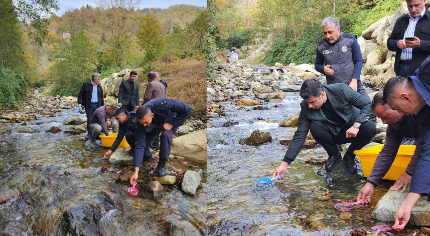 Hemşin'de kırmızı benekli alabalık dereye bırakıldı