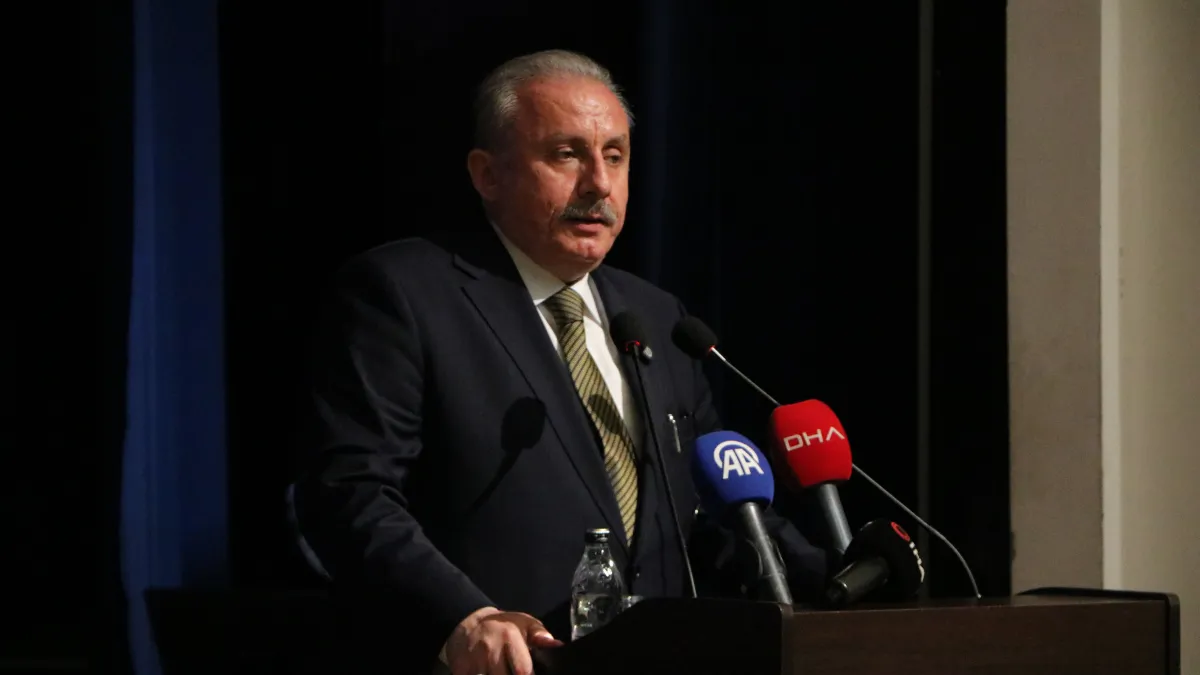 Şentop: Üniversiteyi bitirmiş olma aşamanın önemsenmesi evlenme yaşını yukarı taşıyor