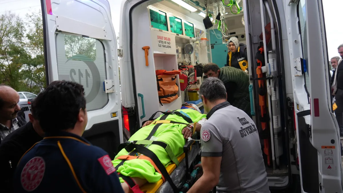 Mantar toplarken ayının saldırısına uğrayan imam yaralandı