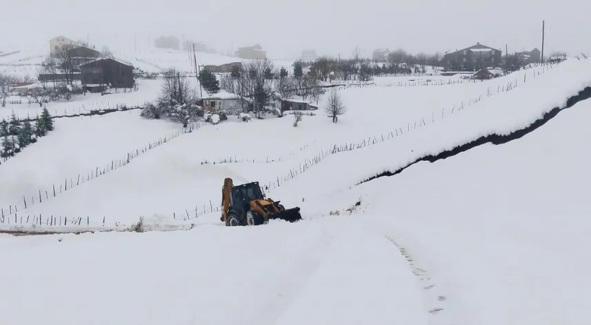 Ordu'da karla mücadele çalışmaları