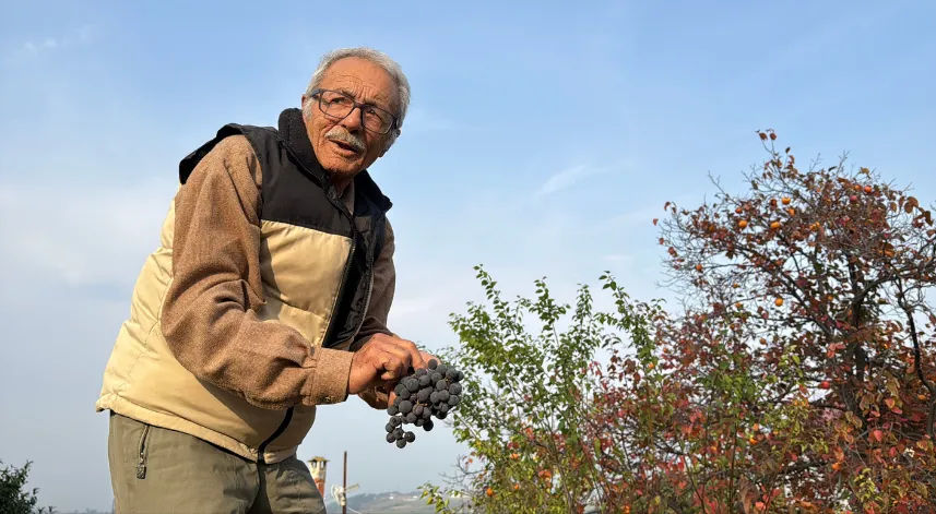 86 yaşında, arazisinde 54 farklı organik meyve yetiştiriyor