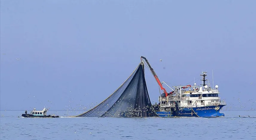 Su sıcaklığının düşmediği Karadeniz'de hamsi soğuk sulara yöneldi