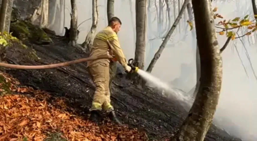 Ordu'da ormana da sıçrayan örtü yangını kontrol altına alındı