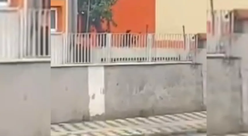 Eski sevgilisiyle konuşmak için geldiği okul önünde intihara kalkıştı