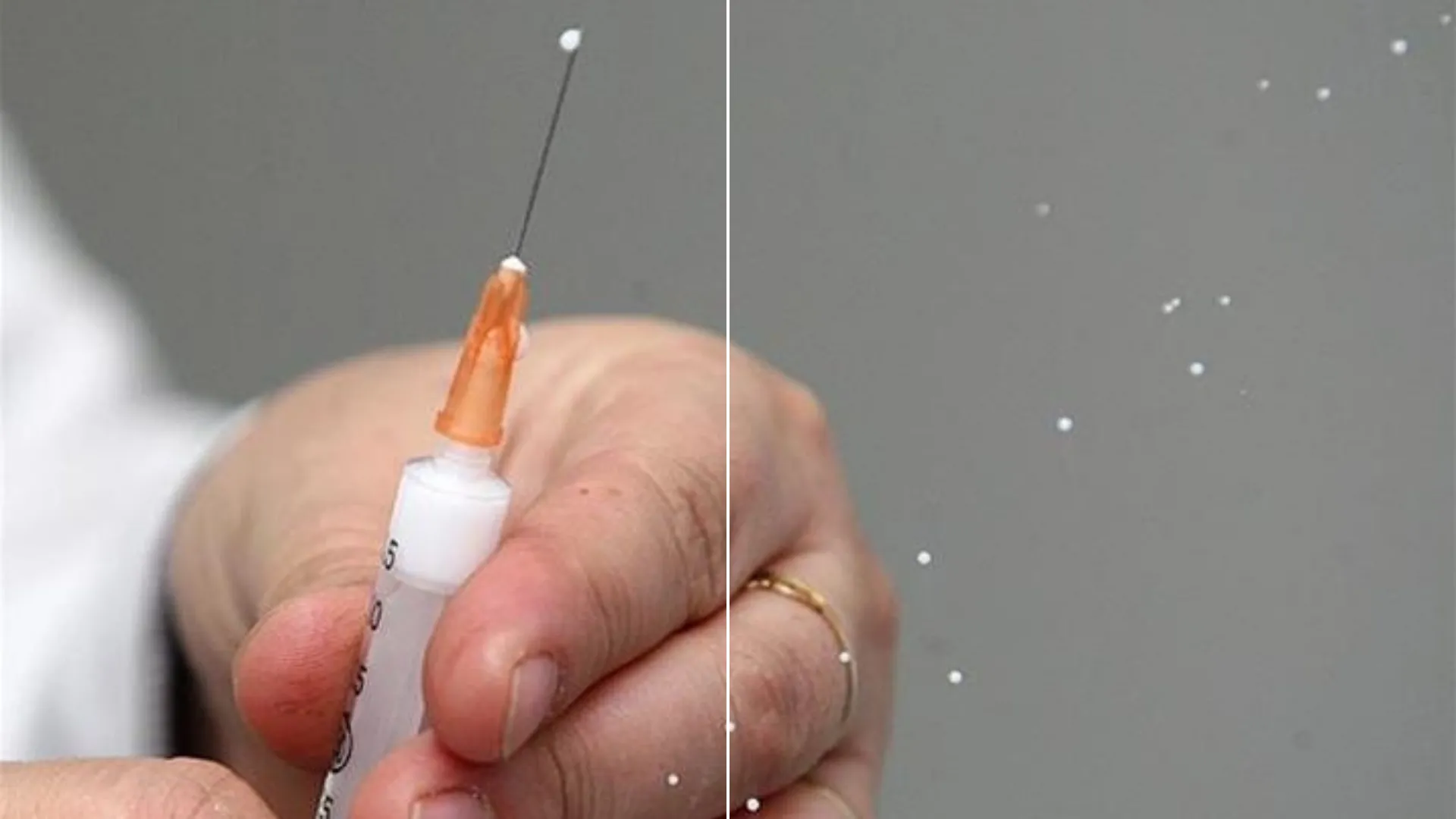 Kırım Kongo Kanamalı Ateşi hastalığına karşı geliştirilen aşının klinik öncesi çalışmaları tamamland