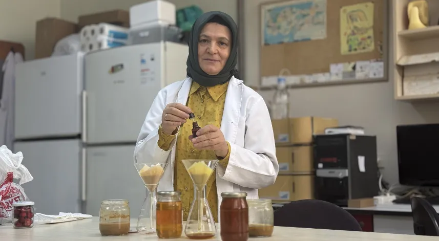 Arı ürünleri araştırmaları 