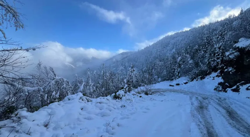 Handüzü Yaylası Beyaza Büründü, Kartpostallık Manzaralar Ortaya Çıktı