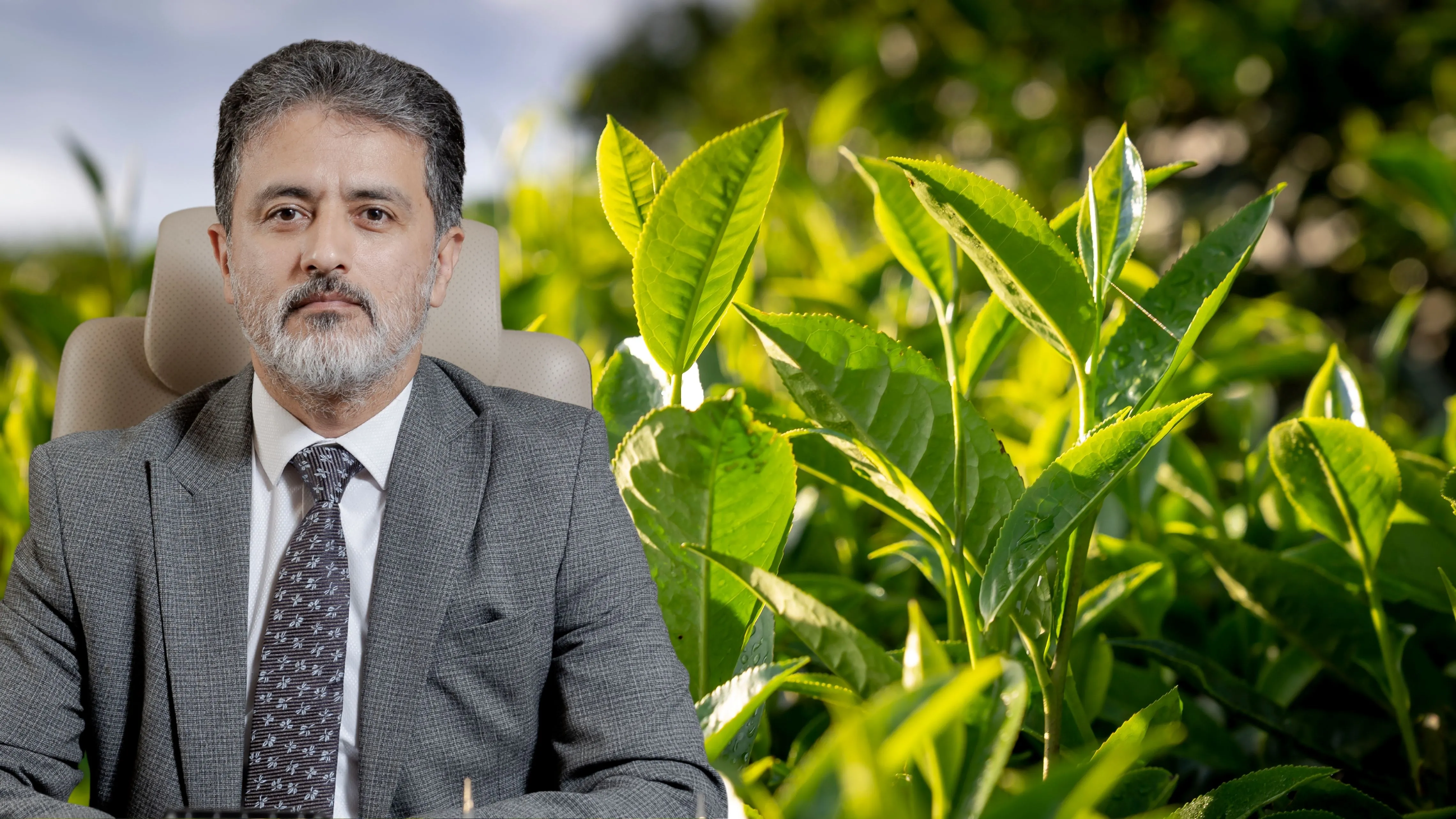 Öz Gıda İş’ten Çaykur’daki mevsimlik işçiler için net mesaj: Çözüm gecikmemeli