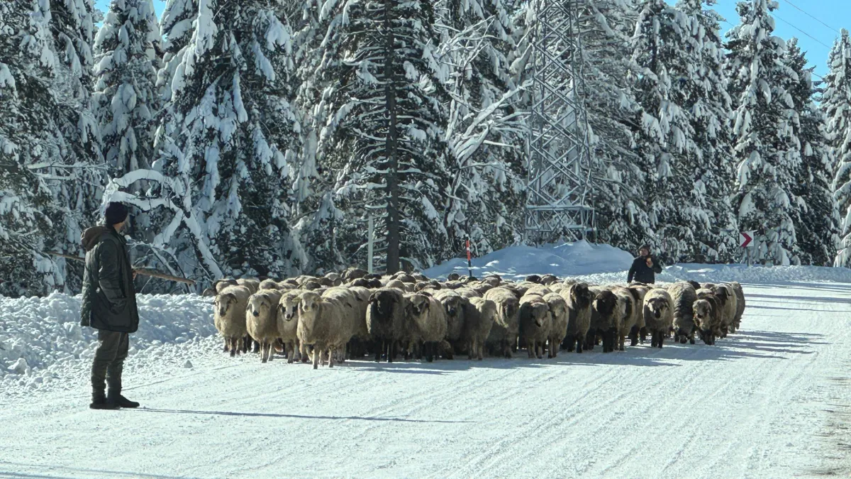 Karla kaplı yaylalarda dönüş yolculuğu