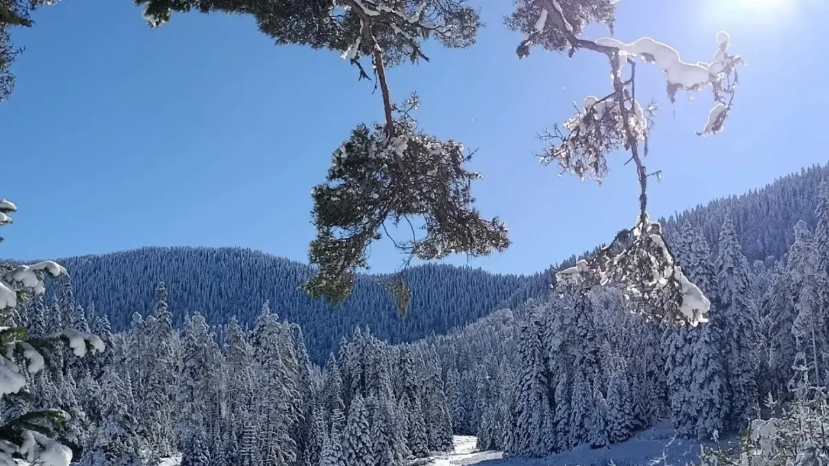 Sarıçiçek Göleti buz tuttu