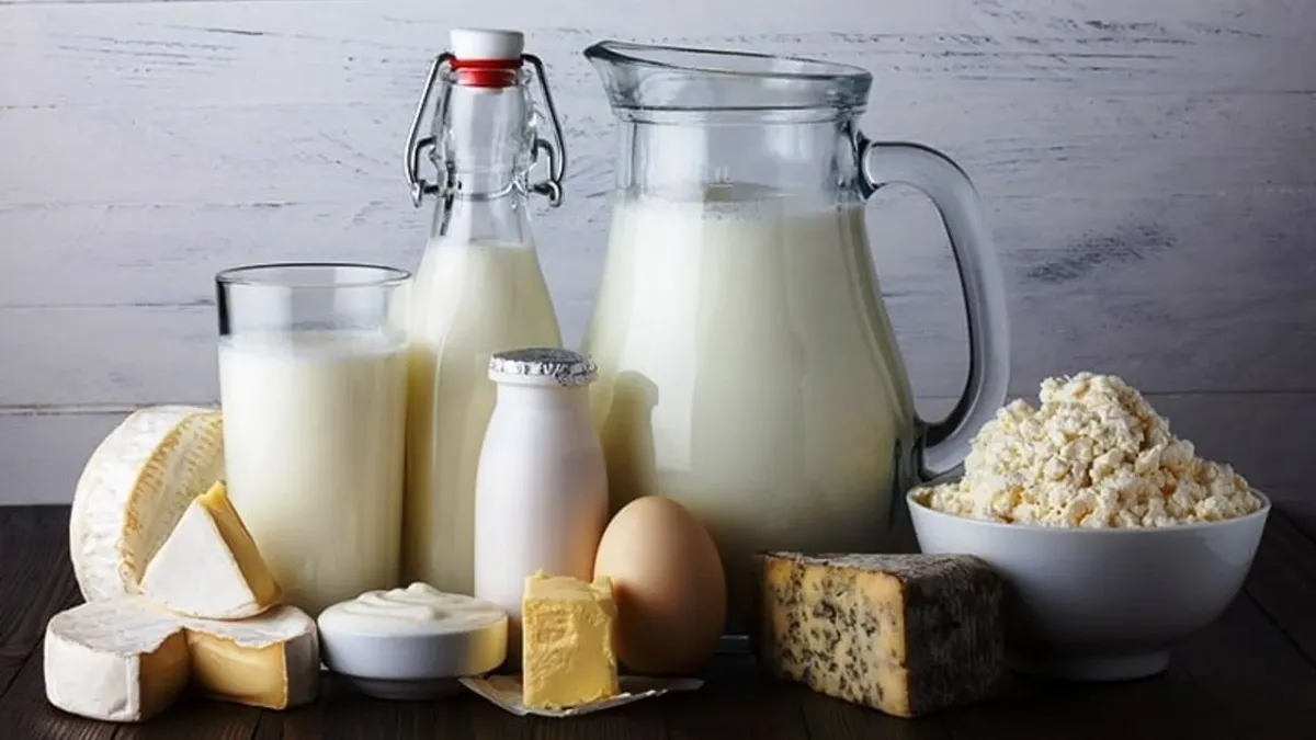 Yoğurt, ayran, turşu gibi ürünler 2026’da gıda trendleri arasında