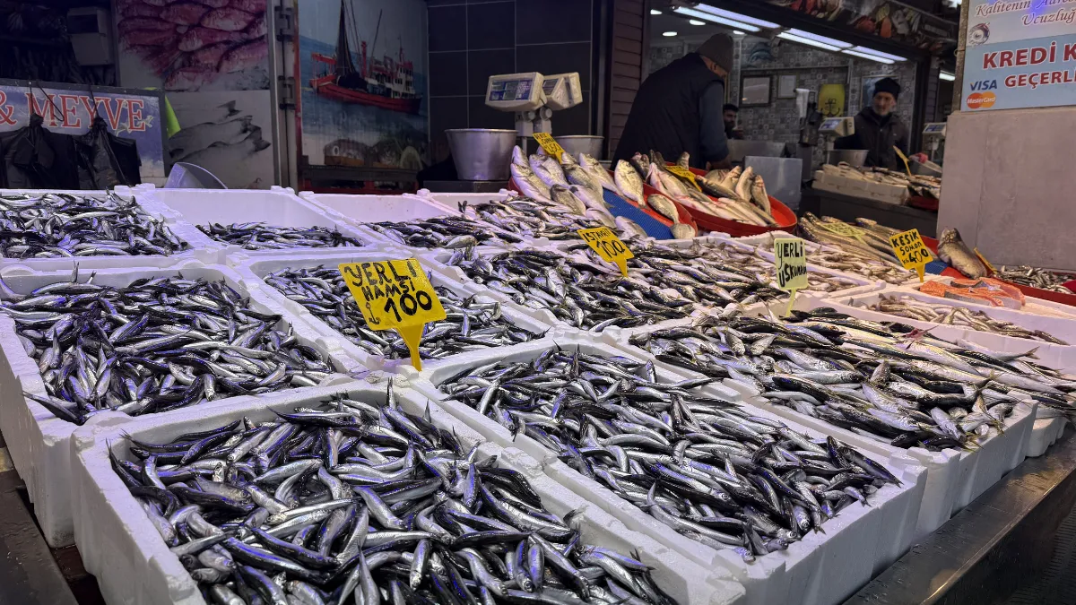 Trabzon'da hamsi ve istavrit 100 liradan satılıyor