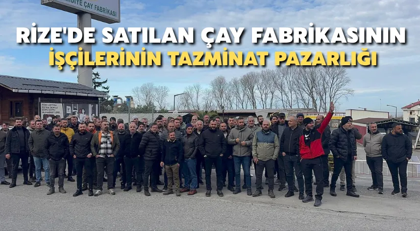 Rize'de satılan çay fabrikasının işçilerinin tazminat pazarlığı