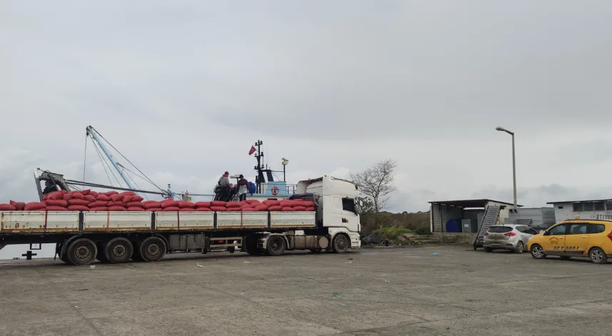 Karadeniz’den çıkartılan beyaz kum midyesine sıkı denetim