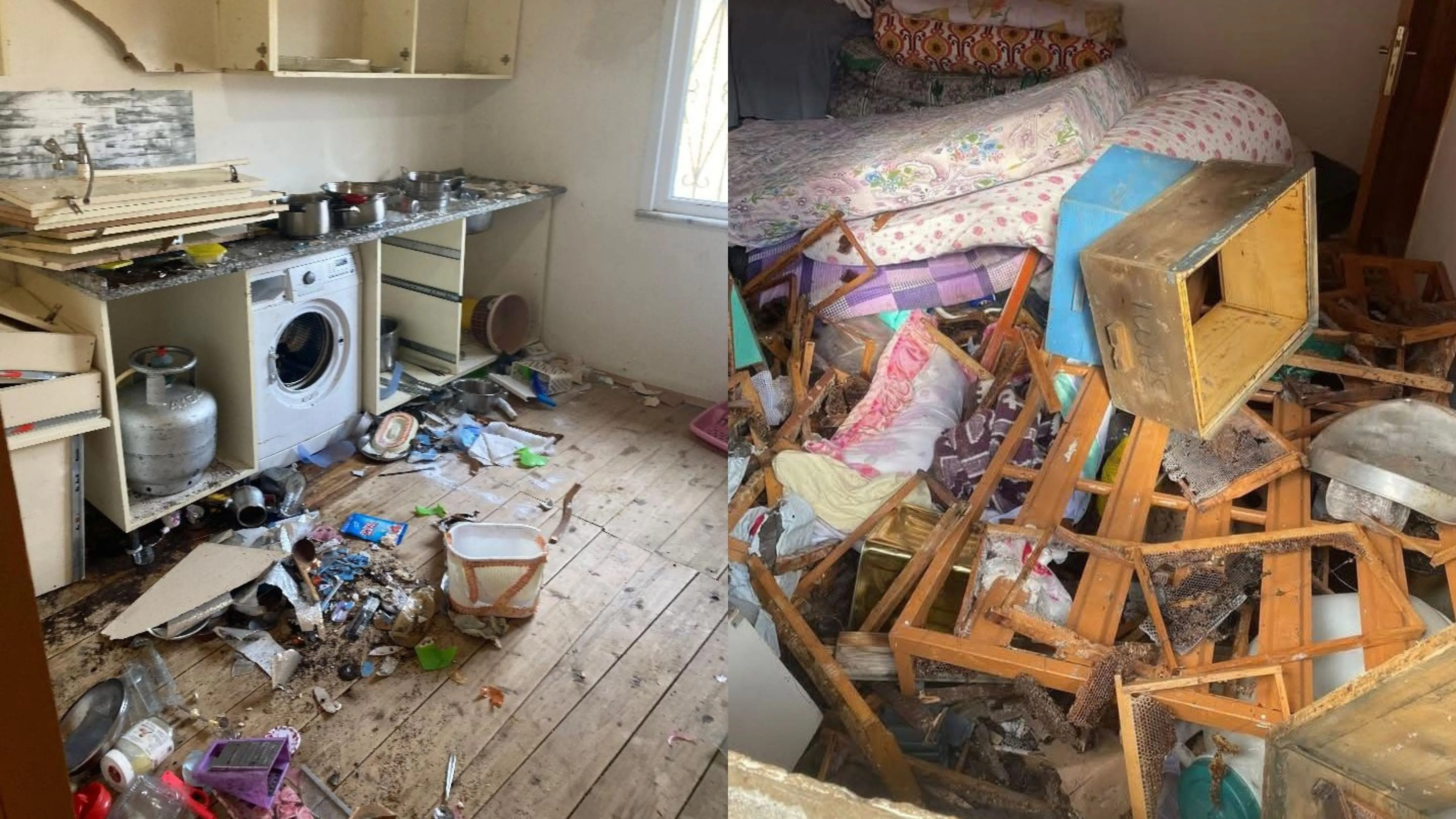 Rize'de yayla evine giren ayı, ortalığı talan etti