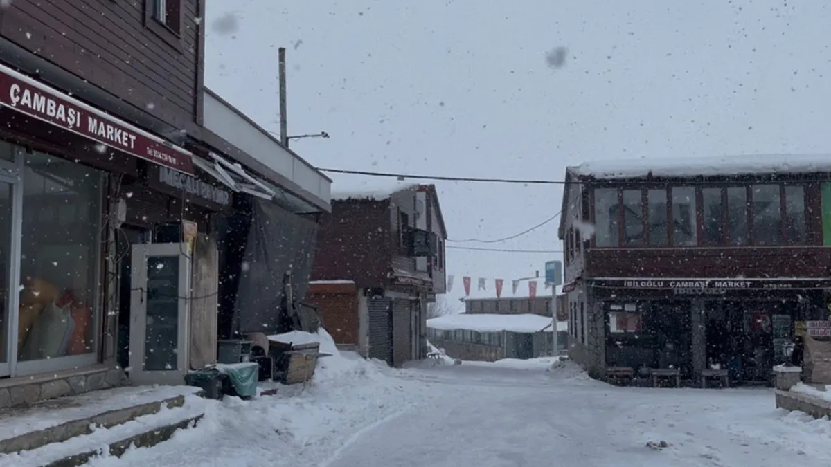 Ordu'nun yüksek kesimlerinde kar yağışı