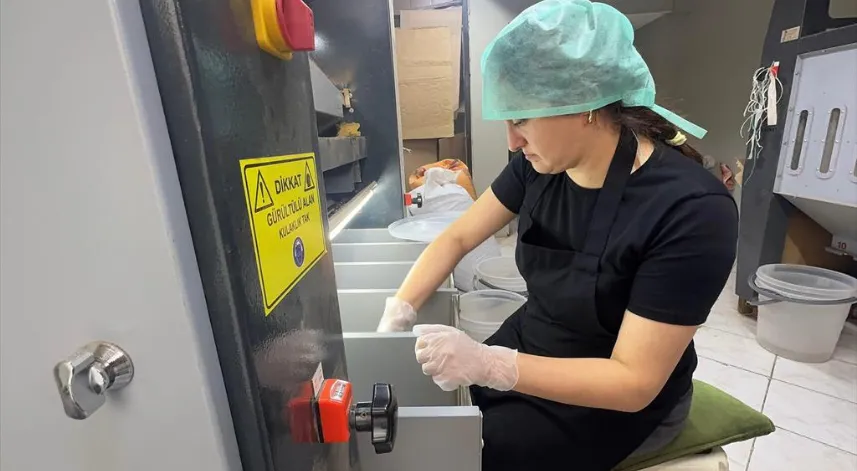 Giresunlu kadın girişimci devlet desteğiyle fındık işleme tesisi kurdu