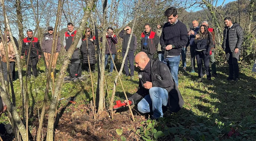 Giresun'da fındık budama eğitimi çalışmaları sürüyor