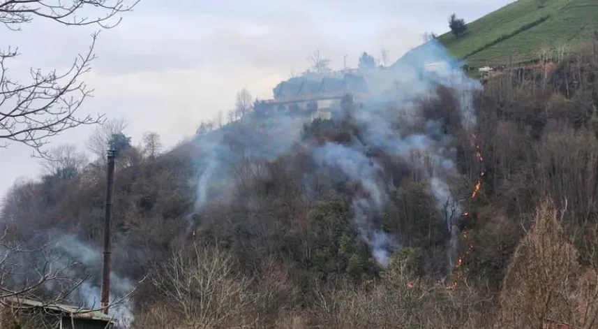 Rize'de çıkan örtü yangını kontrol altına alındı