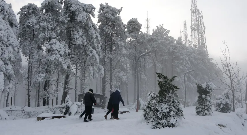 Ordu'nun ‘seyir terası' Boztepe'de kar güzelliği