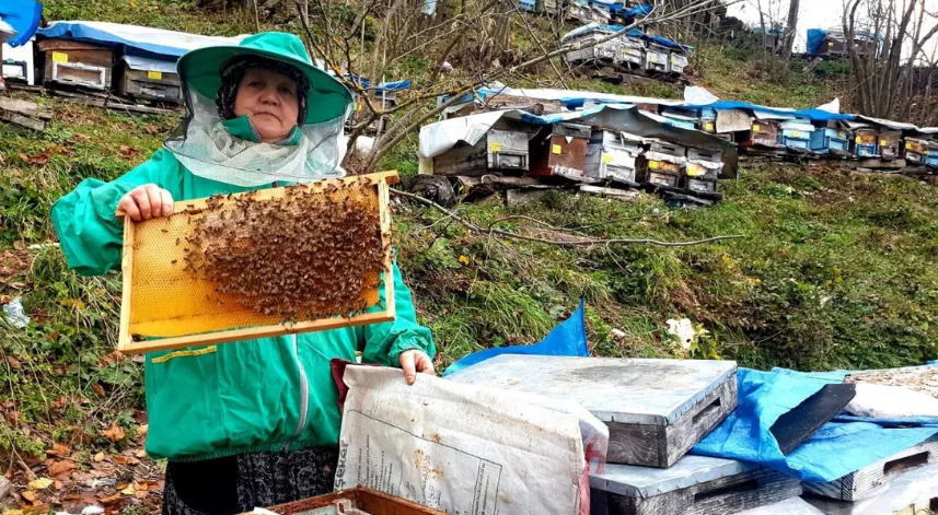 Genç yaşta babasını kaybedince ömrünü kardeşlerine adadı; arıcılık yapıp hepsini okuttu