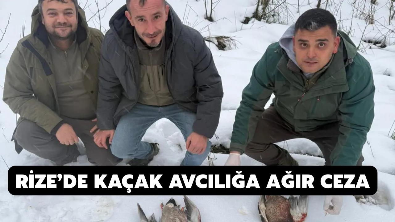 Rize’de Kaçak Avcılığa Ağır Ceza