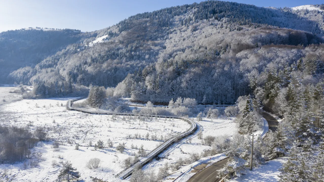 Bolu ve Düzce'nin yüksek kesimlerine kar yağdı