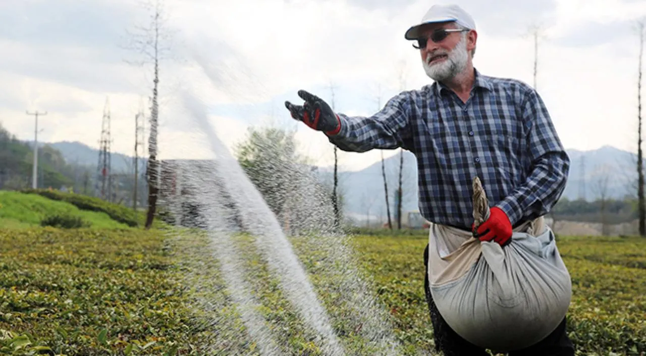 Çay gübresinde fiyat artışı: Tonu 25 bin TL oldu