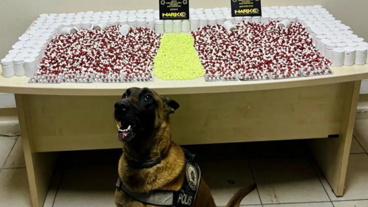 Artvin'de uyuşturucu operasyonunda 1 şüpheli gözaltına alındı