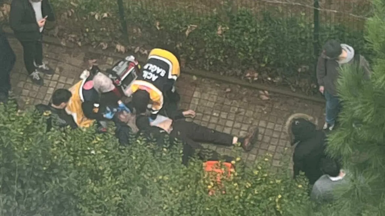 Sokakta gördüğü husumetlisini silahla vurarak öldürdü