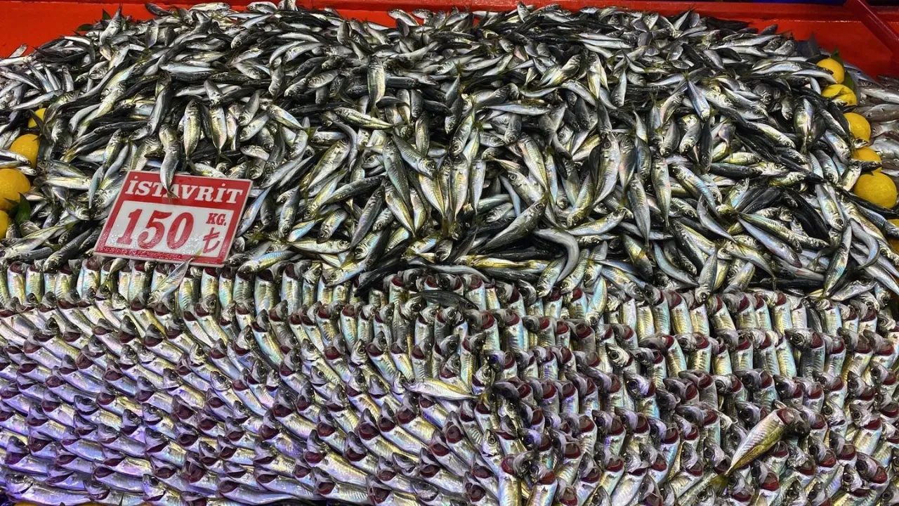 Bolu'da balık tezgahlarında hamsi bolluğu