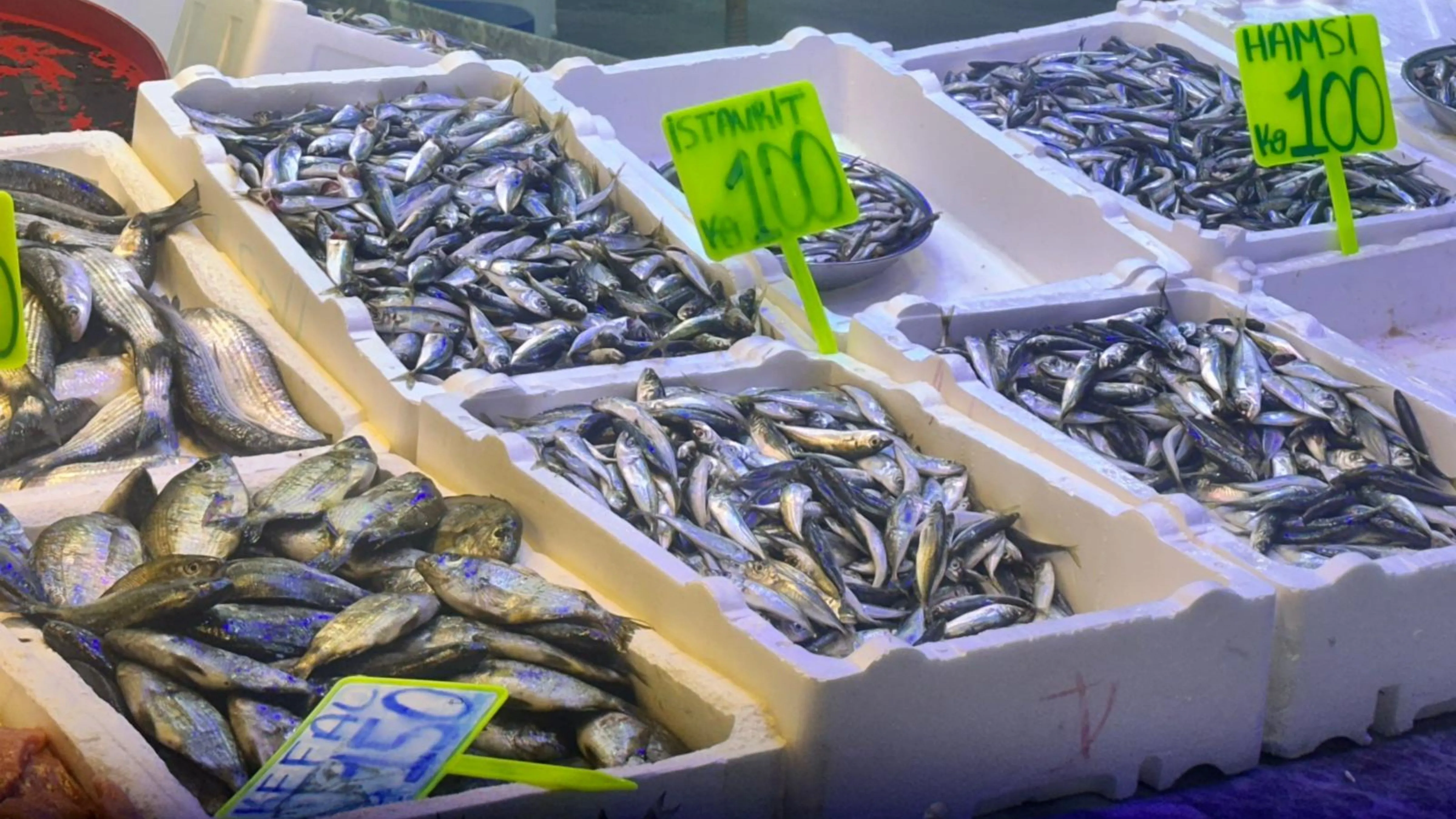 Rize’de balık tezgahlarında ramazan öncesi hareketlilik
