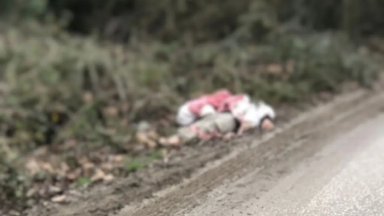 TIR’la getirilip, köye bırakılan düzensiz göçmenler yakalandı; 1 göçmen hipotermiden öldü