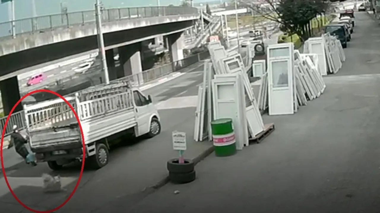 Köpekten kaçarken otobüsün çarptığı üniversiteli ağır yaralandı, kaza kamerada