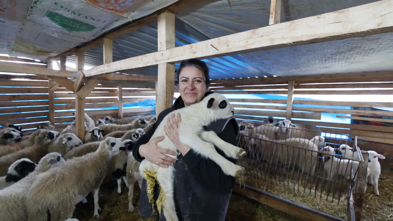 Şehir hayatından sıkılıp köyüne dönen kadın hayvancılığa başladı