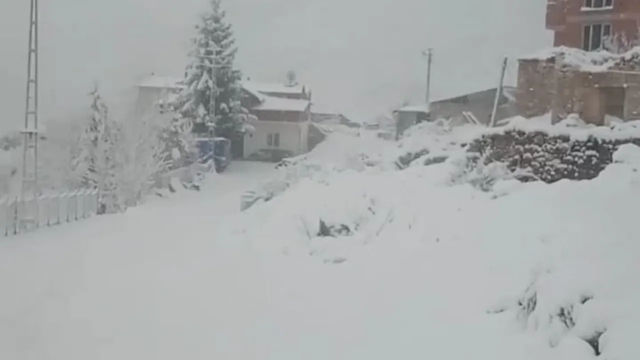 Doğu Karadeniz'de 371 köy ve mahalle yolu kardan kapandı